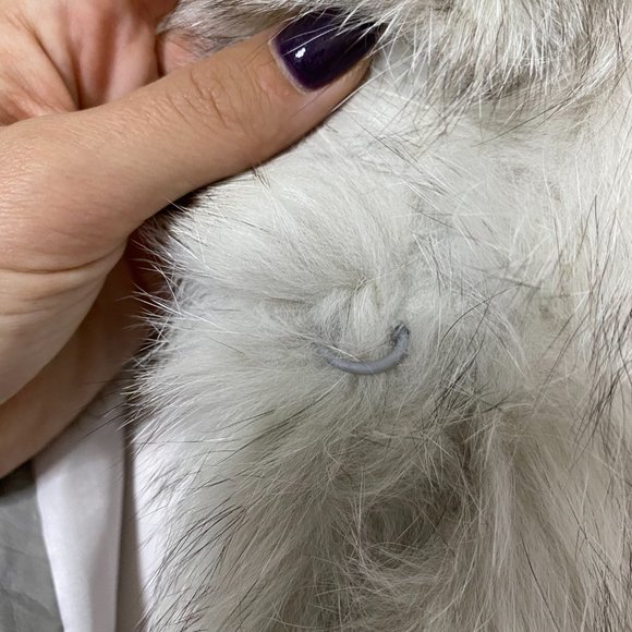 Saga Fox Fur Coat White Cream Gray - Picture 11 of 16